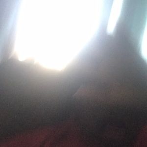 Meet your Posher, Amirrah